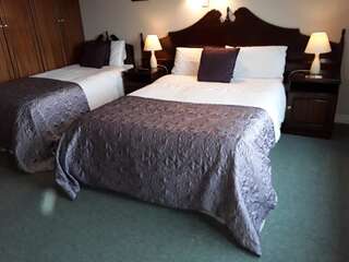 Отели типа «постель и завтрак» Riverview House Атлон Двухместный номер с 2 отдельными кроватями-4