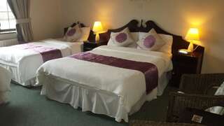 Отели типа «постель и завтрак» Riverview House Атлон Двухместный номер с 2 отдельными кроватями-8