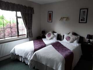 Отели типа «постель и завтрак» Riverview House Атлон Двухместный номер с 2 отдельными кроватями-10