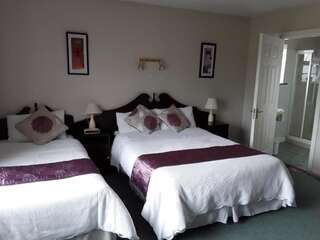 Отели типа «постель и завтрак» Riverview House Атлон Двухместный номер с 1 кроватью-25
