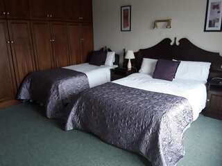 Отели типа «постель и завтрак» Riverview House Атлон Двухместный номер с 1 кроватью-46